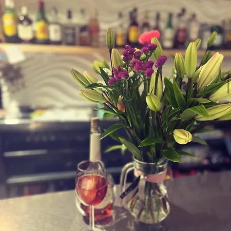 Colibri 게스트하우스