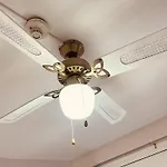 Guest house Colibri