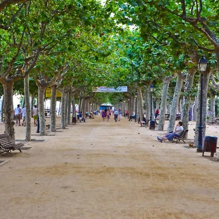 Colibri Гостевой дом