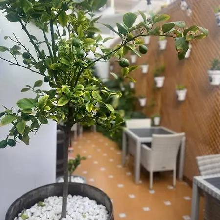 Colibri Πανσιόν 2*